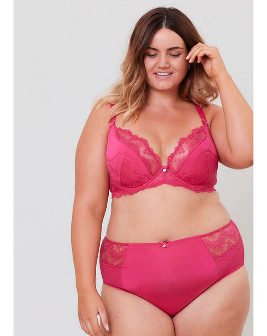  Oola Fan Lace High Waist Knicker| Bright Pink