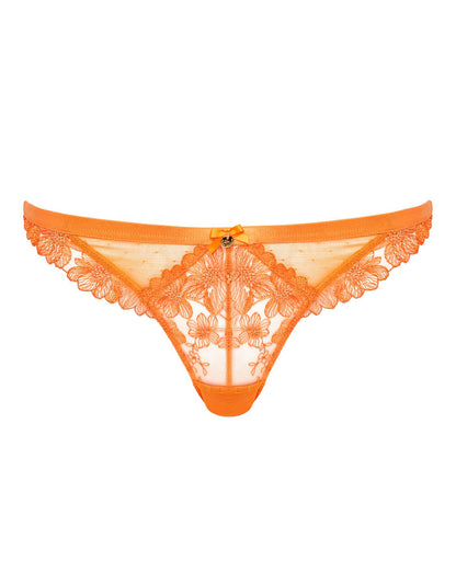  Boux Avenue Kourtney Brief| Orange Mix
