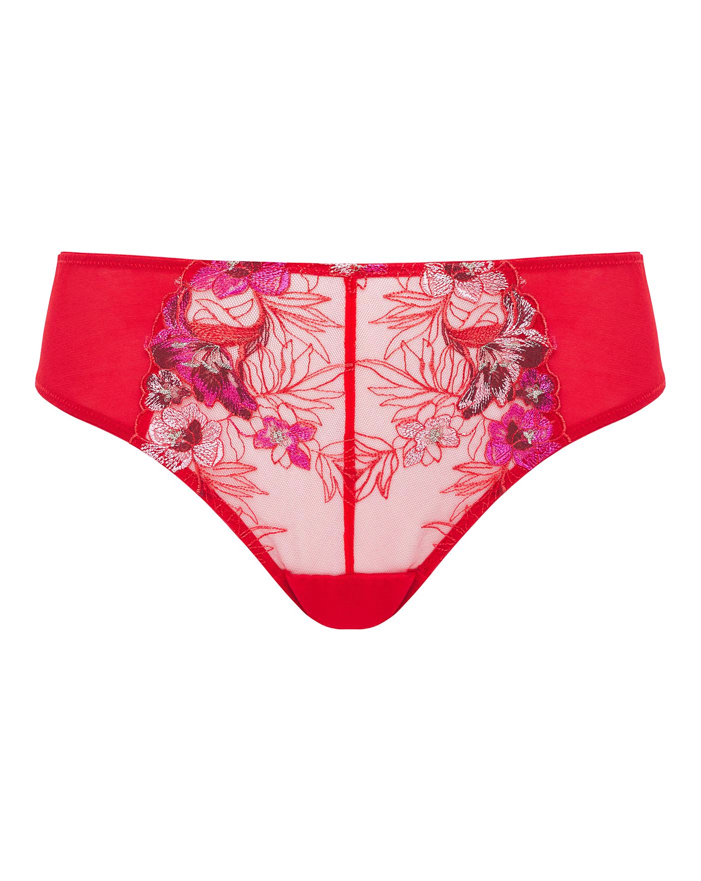  Contemporary Embroidery Midi Brief| Berry
