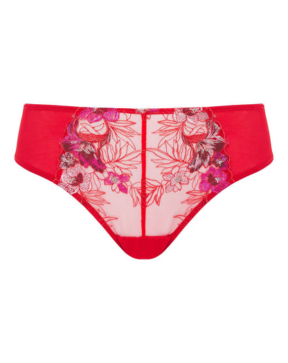  Contemporary Embroidery Midi Brief| Berry